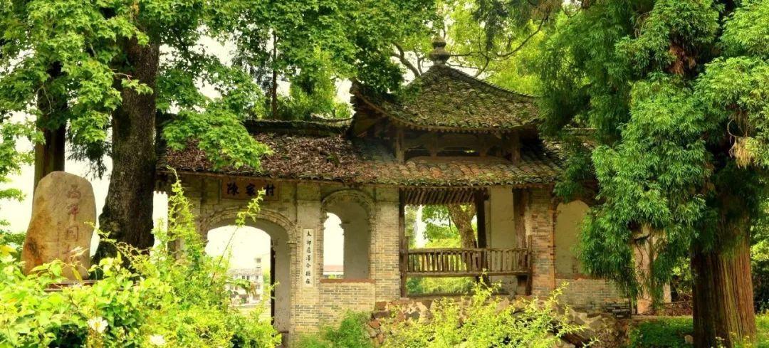 拯救精灵的土地9
