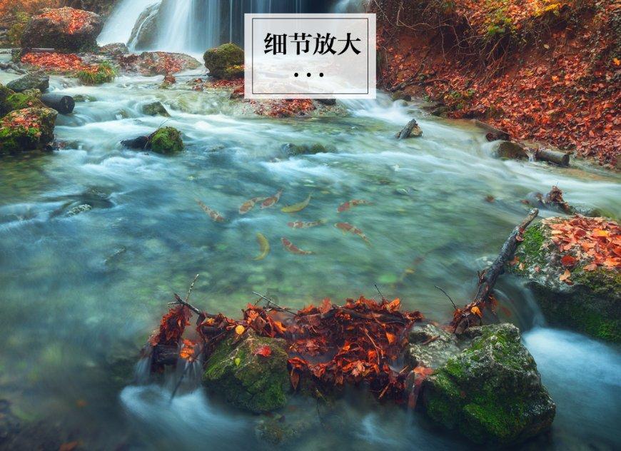 辞职直接走人扣多少钱？游戏画面